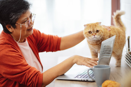 Happy asian senior mature woman working with laptop computer with cute cat.の写真素材