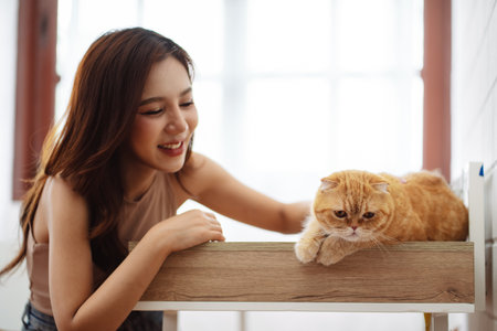 Happy Asian woman owner cute cat playful in a home. Friendship of pet and human people lifestyle.の写真素材