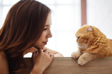 Happy Asian woman owner cute cat playful in a home. Friendship of pet and human people lifestyle.の写真素材