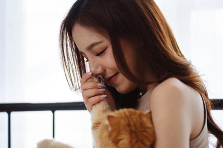 Happy Asian woman owner cute cat playful in a home. Friendship of pet and human people lifestyle.の写真素材