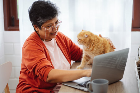 Happy asian senior mature woman working with laptop computer with cute cat.の写真素材