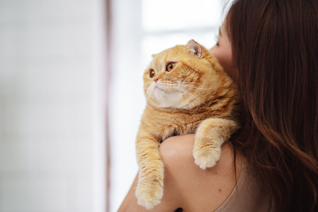 Happy Asian woman owner cute cat playful in a home. Friendship of pet and human people lifestyle.の写真素材