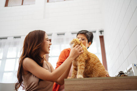 Happy Asian woman and senior mother playing with cute cat playful in a home. Friendship of pet and human people lifestyle.の写真素材