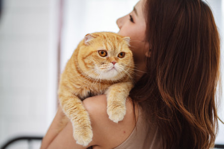 Happy Asian woman owner cute cat playful in a home. Friendship of pet and human people lifestyle.の写真素材