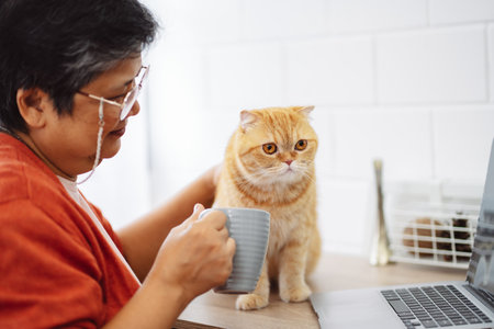 Happy asian senior mature woman working with laptop computer with cute cat.の写真素材