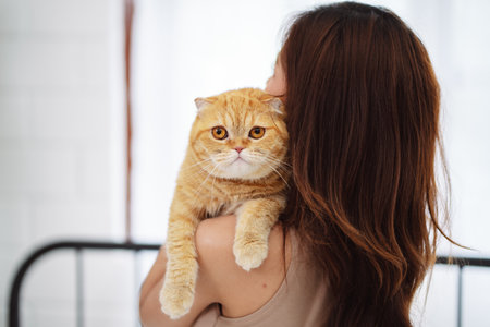 Happy Asian woman owner cute cat playful in a home. Friendship of pet and human people lifestyle.の写真素材