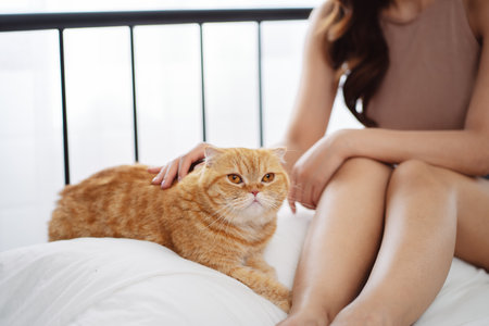 Happy Asian woman owner cute cat playful in a home. Friendship of pet and human people lifestyle.の写真素材