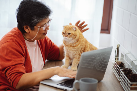 Happy asian senior mature woman working with laptop computer with cute cat.の写真素材