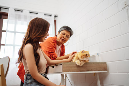 Happy Asian woman and senior mother playing with cute cat playful in a home. Friendship of pet and human people lifestyle.の写真素材