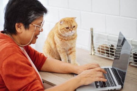 Happy asian senior mature woman working with laptop computer with cute cat.の写真素材