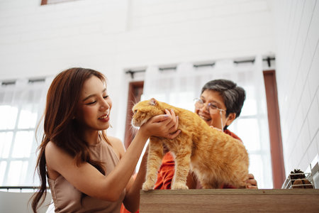 Happy Asian woman and senior mother playing with cute cat playful in a home. Friendship of pet and human people lifestyle.の写真素材