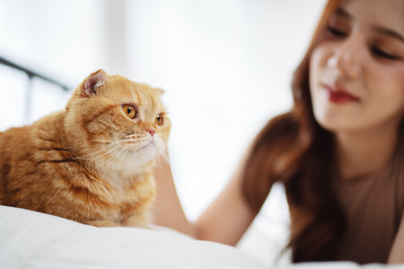 Happy Asian woman owner cute cat playful in a home. Friendship of pet and human people lifestyle.の写真素材