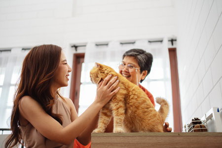 Happy Asian woman and senior mother playing with cute cat playful in a home. Friendship of pet and human people lifestyle.の写真素材