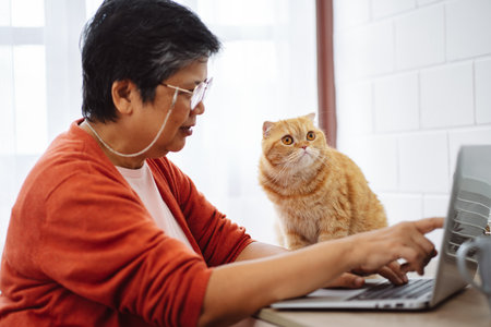Happy asian senior mature woman working with laptop computer with cute cat.の写真素材