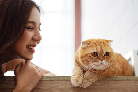 Happy Asian woman owner cute cat playful in a home. Friendship of pet and human people lifestyle.の写真素材
