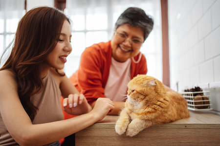 Happy Asian woman and senior mother playing with cute cat playful in a home. Friendship of pet and human people lifestyle.の写真素材