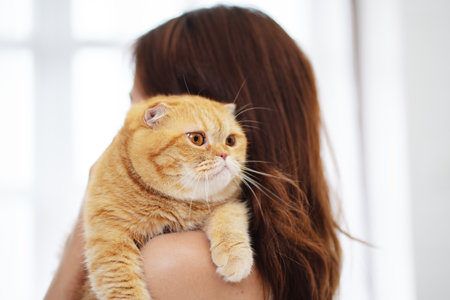Happy Asian woman owner cute cat playful in a home. Friendship of pet and human people lifestyle.の写真素材