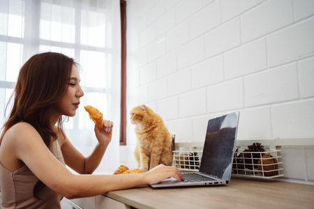 Happy asian young woman working with laptop computer with cute cat in the morning daytime.の写真素材