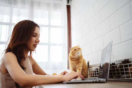 Happy asian young woman working with laptop computer with cute cat in the morning daytime.の写真素材