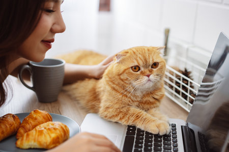 Happy asian young woman working with laptop computer with cute cat in the morning daytime.の写真素材