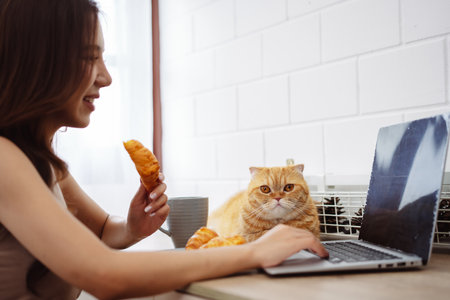 Happy asian young woman working with laptop computer with cute cat in the morning daytime.の写真素材