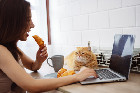 Happy asian young woman working with laptop computer with cute cat in the morning daytime.の写真素材