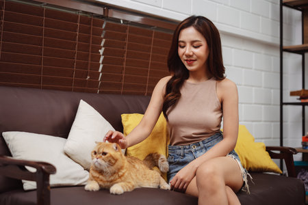 Happy Asian woman owner cute cat playful in a home. Friendship of pet and human people lifestyle.の写真素材