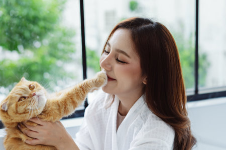 Happy Asian woman owner cute cat playful in a home. Friendship of pet and human people lifestyle.の写真素材