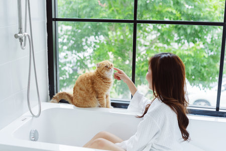 Happy Asian woman owner cute cat playful in a home. Friendship of pet and human people lifestyle.の写真素材