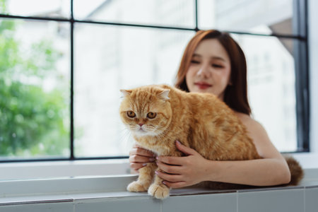 Happy Asian woman owner cute cat playful in a home. Friendship of pet and human people lifestyle.の写真素材