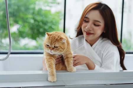 Happy Asian woman owner cute cat playful in a home. Friendship of pet and human people lifestyle.の写真素材
