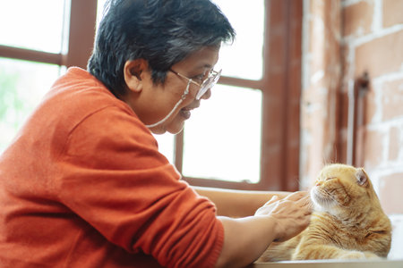 Happy asian senior mature woman playing with cute cat.の写真素材