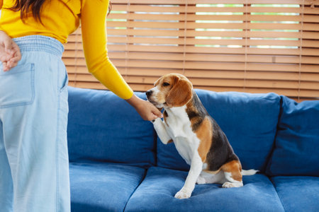 Happy asian woman enjoying her dog pet in the home, Friendship pet and human lifestyle concept.の写真素材