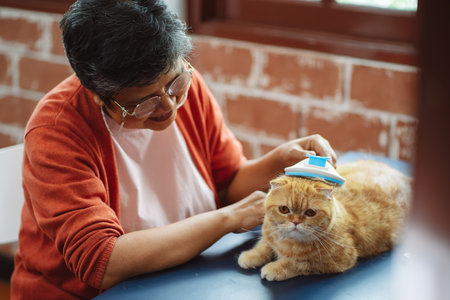 Happy asian senior mature woman playing with cute cat.の写真素材