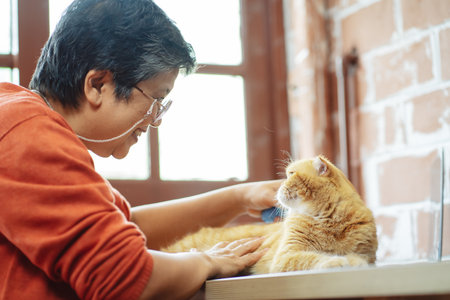 Happy asian senior mature woman playing with cute cat.の写真素材