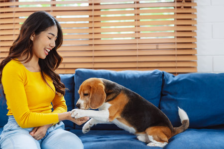 Happy asian woman enjoying her dog pet in the home, Friendship pet and human lifestyle concept.の写真素材