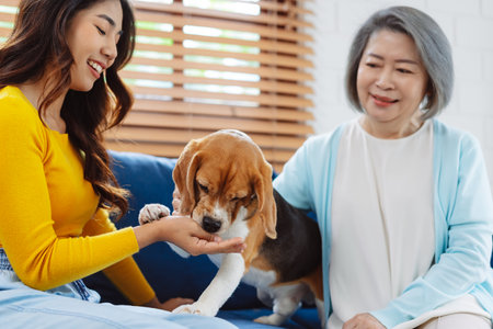 Happy asian senior woman retirement and daughter enjoying her dog pet in the home, Friendship pet and human lifestyle concept.の写真素材