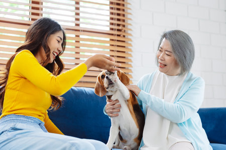 Happy asian senior woman retirement and daughter enjoying her dog pet in the home, Friendship pet and human lifestyle concept.の写真素材