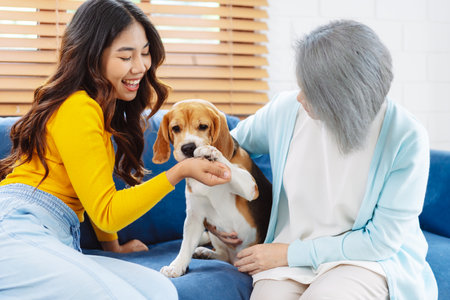 Happy asian senior woman retirement and daughter enjoying her dog pet in the home, Friendship pet and human lifestyle concept.の写真素材