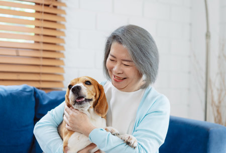 Happy asian senior woman retirement enjoying her dog pet in the home, Friendship pet and human lifestyle concept.の写真素材