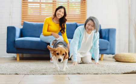 Happy asian senior woman retirement and daughter enjoying her dog pet in the home, Friendship pet and human lifestyle concept.の写真素材