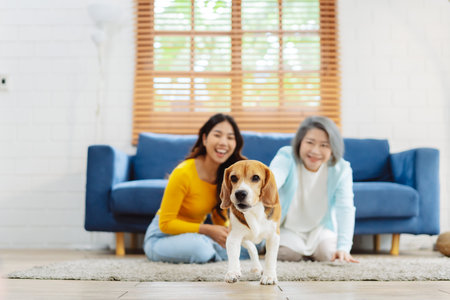 Happy asian senior woman retirement and daughter enjoying her dog pet in the home, Friendship pet and human lifestyle concept.の写真素材