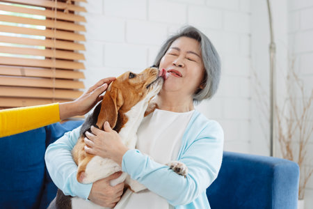 Happy asian senior woman retirement enjoying her dog pet in the home, Friendship pet and human lifestyle concept.の写真素材