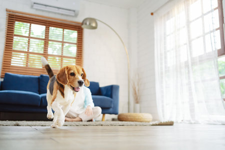 Happy asian senior woman retirement enjoying her dog pet running in the home, Friendship pet and human lifestyle concept.の写真素材