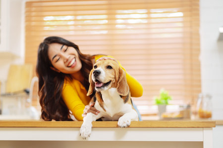 Happy asian woman enjoying her dog pet in the home, Friendship pet and human lifestyle concept.の写真素材
