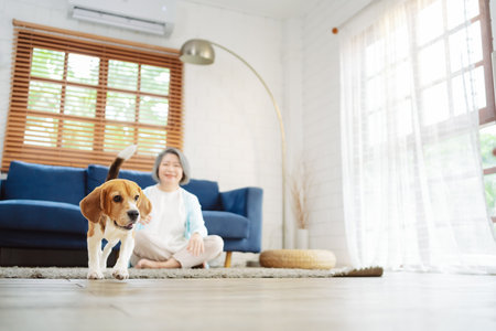 Happy asian senior woman retirement enjoying her dog pet running in the home, Friendship pet and human lifestyle concept.の写真素材