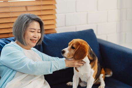Happy asian senior woman retirement enjoying her dog pet in the home, Friendship pet and human lifestyle concept.の写真素材