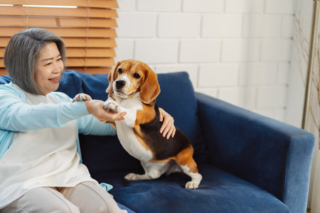 Happy asian senior woman retirement enjoying her dog pet in the home, Friendship pet and human lifestyle concept.の写真素材