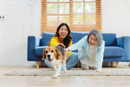Happy asian senior woman retirement and daughter enjoying her dog pet in the home, Friendship pet and human lifestyle concept.の写真素材
