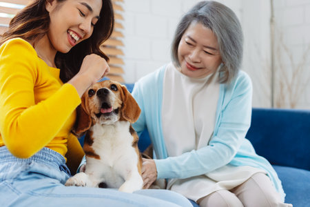 Happy asian senior woman retirement and daughter enjoying her dog pet in the home, Friendship pet and human lifestyle concept.の写真素材